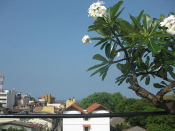 Ostello City *